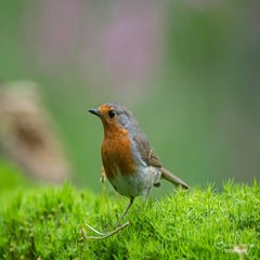 dsc_90743.jpg