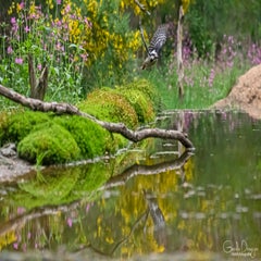 dsc_93843.jpg