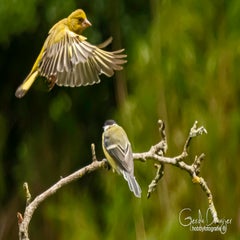 dsc_32662.jpg