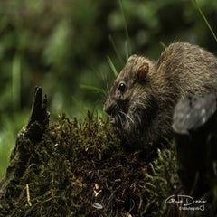 dsc_11912.jpg