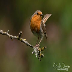 dsc_31812.jpg