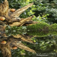 dsc_61132-1.jpg