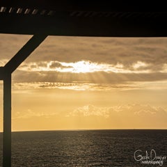 dsc_49483.jpg