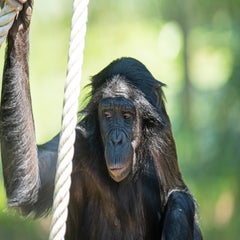 dsc_076622.jpg