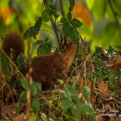 dsc_61042.jpg