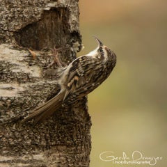 dsc_86183.jpg
