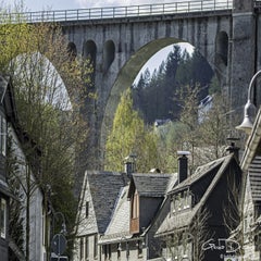 dsc_05912.jpg