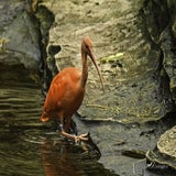 DSC_34912.jpg