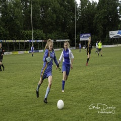 dsc_18722.jpg