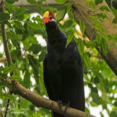 dsc_17363.jpg