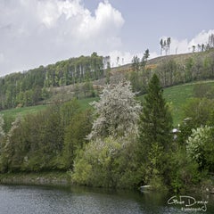 dsc_08182.jpg