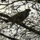 DSC_69192.jpg