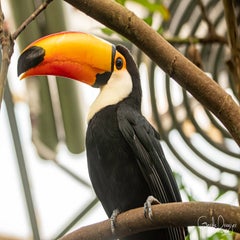 dsc_17413.jpg