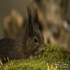 dsc_94872.jpg