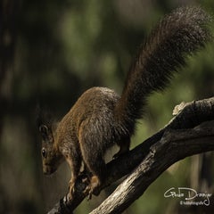 dsc_97932.jpg