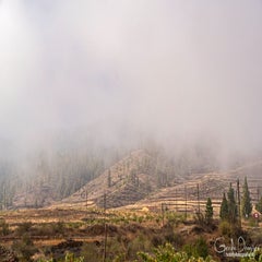 dsc_44713.jpg