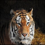 DSCN2589.jpg