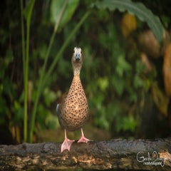 dsc_15273.jpg