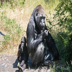 dsc_10863.jpg