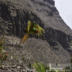 dsc_52582.jpg