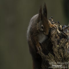 dsc_80792.jpg