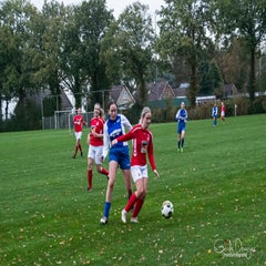dsc_92402.jpg