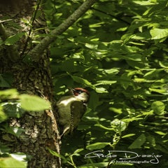 dsc_12502-1.jpg