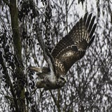 DSC_57412.jpg