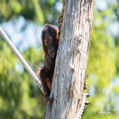dsc_12923.jpg