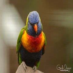 dsc_17963.jpg