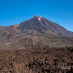 dsc_50642.jpg