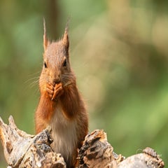 dsc_27393.jpg