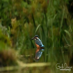 dsc_31482.jpg