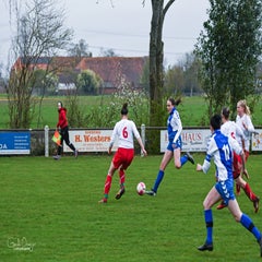 dsc_68432-1.jpg