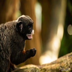 dsc_15793.jpg