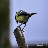 DSC_69702.jpg
