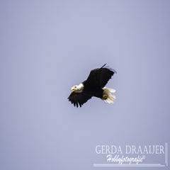 dsc_48832.jpg