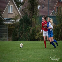 dsc_91522.jpg