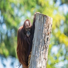 dsc_12883.jpg