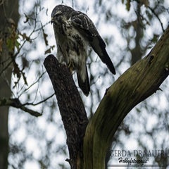 dsc_67992.jpg