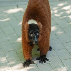 dsc_07523.jpg