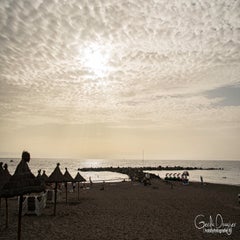 dsc_44503.jpg
