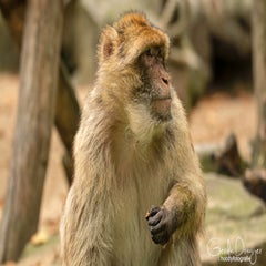 dsc_79453.jpg