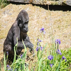 dsc_10393.jpg