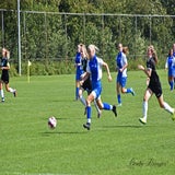 DSC_1998.jpg