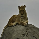 DSC_35702.jpg