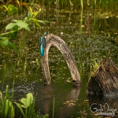 dsc_32012.jpg