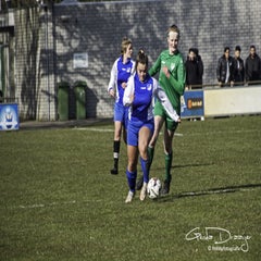 dsc_87612.jpg