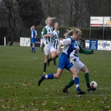 DSCN2335.jpg