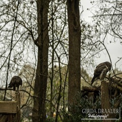 dsc_69702-1.jpg